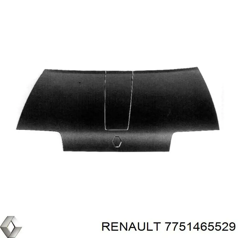 Maska silnika Renault 19 I hatchback (B53, C53) (1988 - 1992) cena, od 197,27 USD
