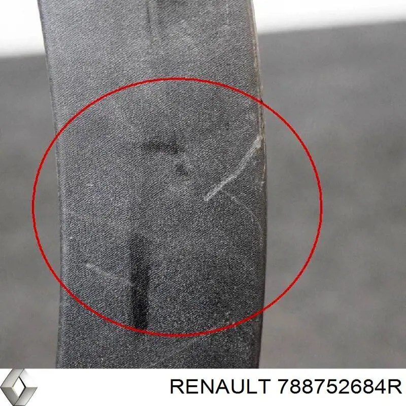 Poszerzenie (nakładka) reperaturki tylnego błotnika lewy 788752684R Renault (RVI)