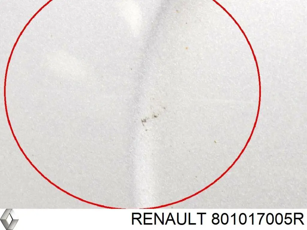 Do koszyka Drzwi przednie lewe Opel Movano B X62