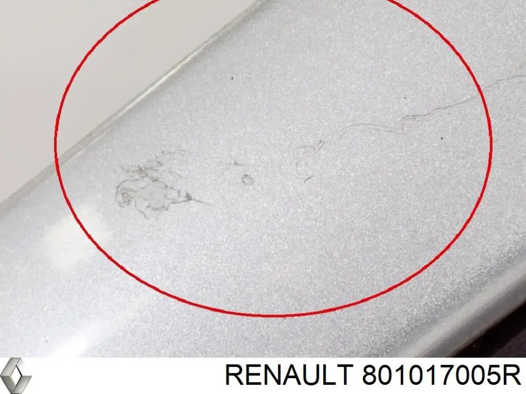 Drzwi przednie lewe Opel Movano B awangarda (X62) (2010 - 2026) cena, od 914,74 USD