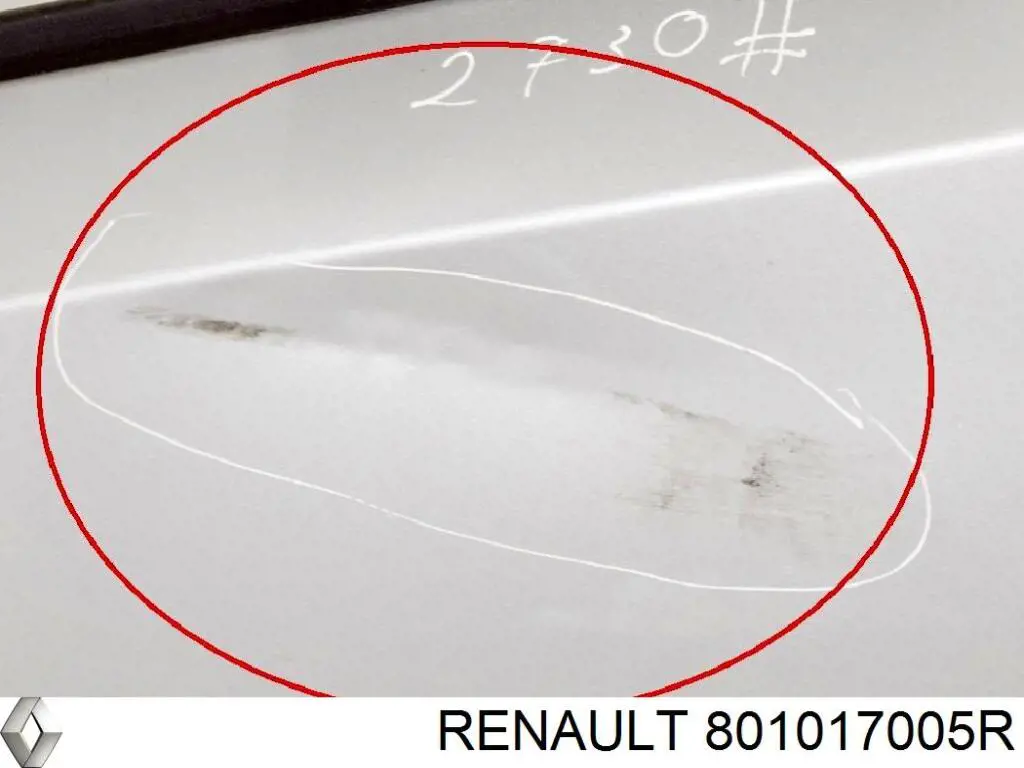 Drzwi przednie lewe Opel Movano B awangarda (X62) (2010 - 2026) cena, od 914,74 USD