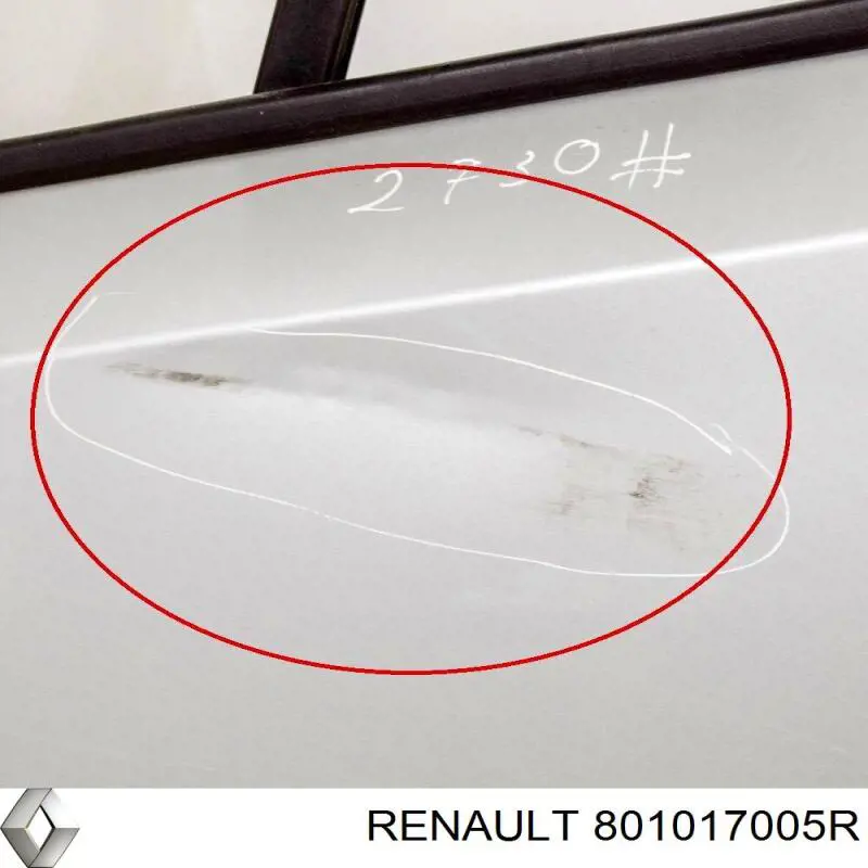 Drzwi przednie lewe Opel Movano B