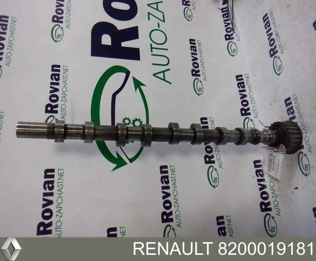 8200019181 Renault (RVI) Wał rozrządu silnika ssący, dolotowy