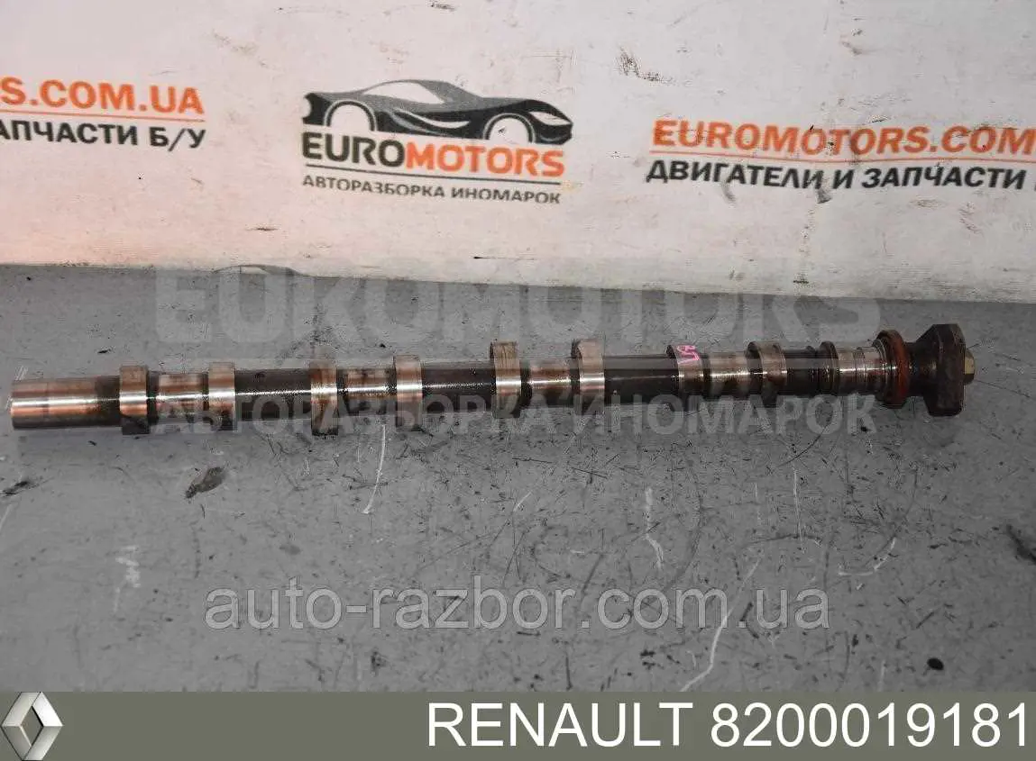 Wał rozrządu silnika ssący, dolotowy Renault (RVI) 8200019181 cena, od 163,45 USD