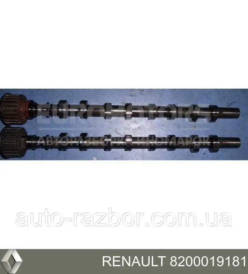 Do koszyka 8200019181 Renault (RVI) Wał rozrządu silnika ssący, dolotowy