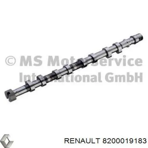 8200019183 Renault (RVI) Wał rozrządu silnika wylotowy, wydechowy
