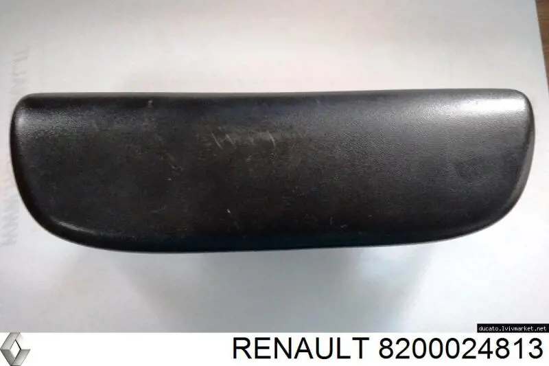 8200024813 Renault (RVI) Lampa oświetlenia tylnej tablicy rejestracyjnej