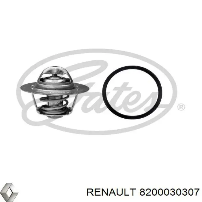 Do koszyka 8200030307 Renault (RVI) Termostat