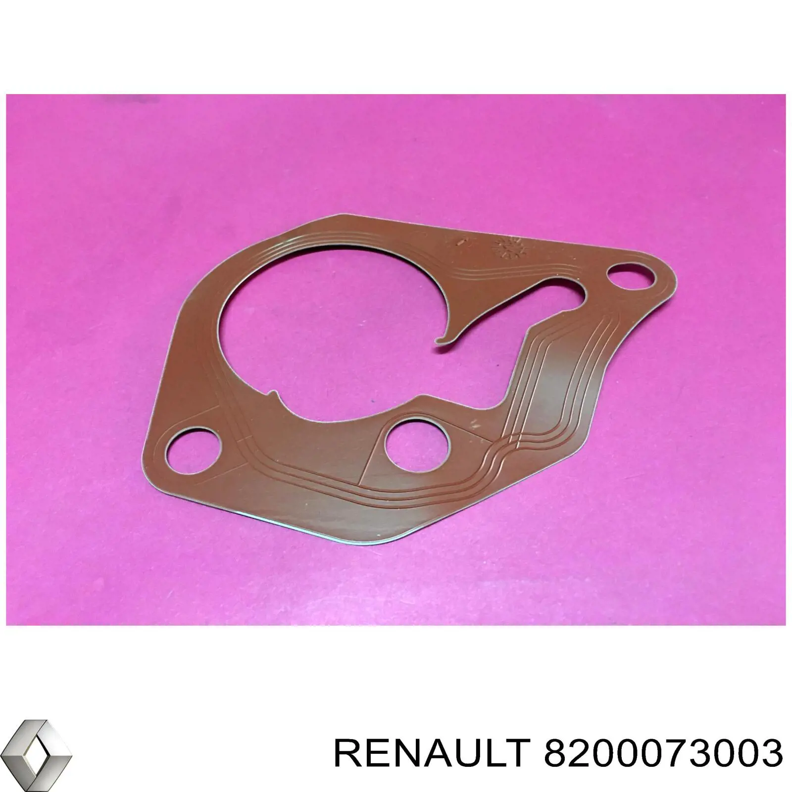 Do koszyka 8200073003 Renault (RVI) Uszczelka pompy próżniowej