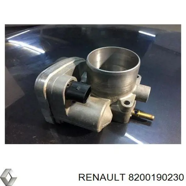 8200190230 Renault (RVI) Przepustnica, komplet