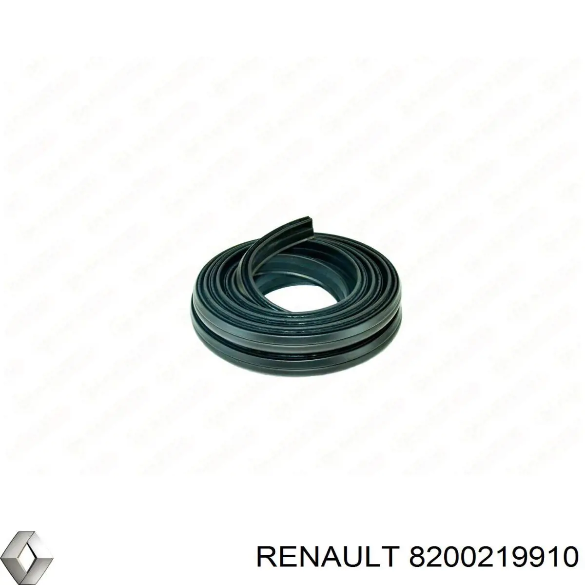 8200219910 Renault (RVI) Uszczelniacz drzwi tylnych (na karoserii)