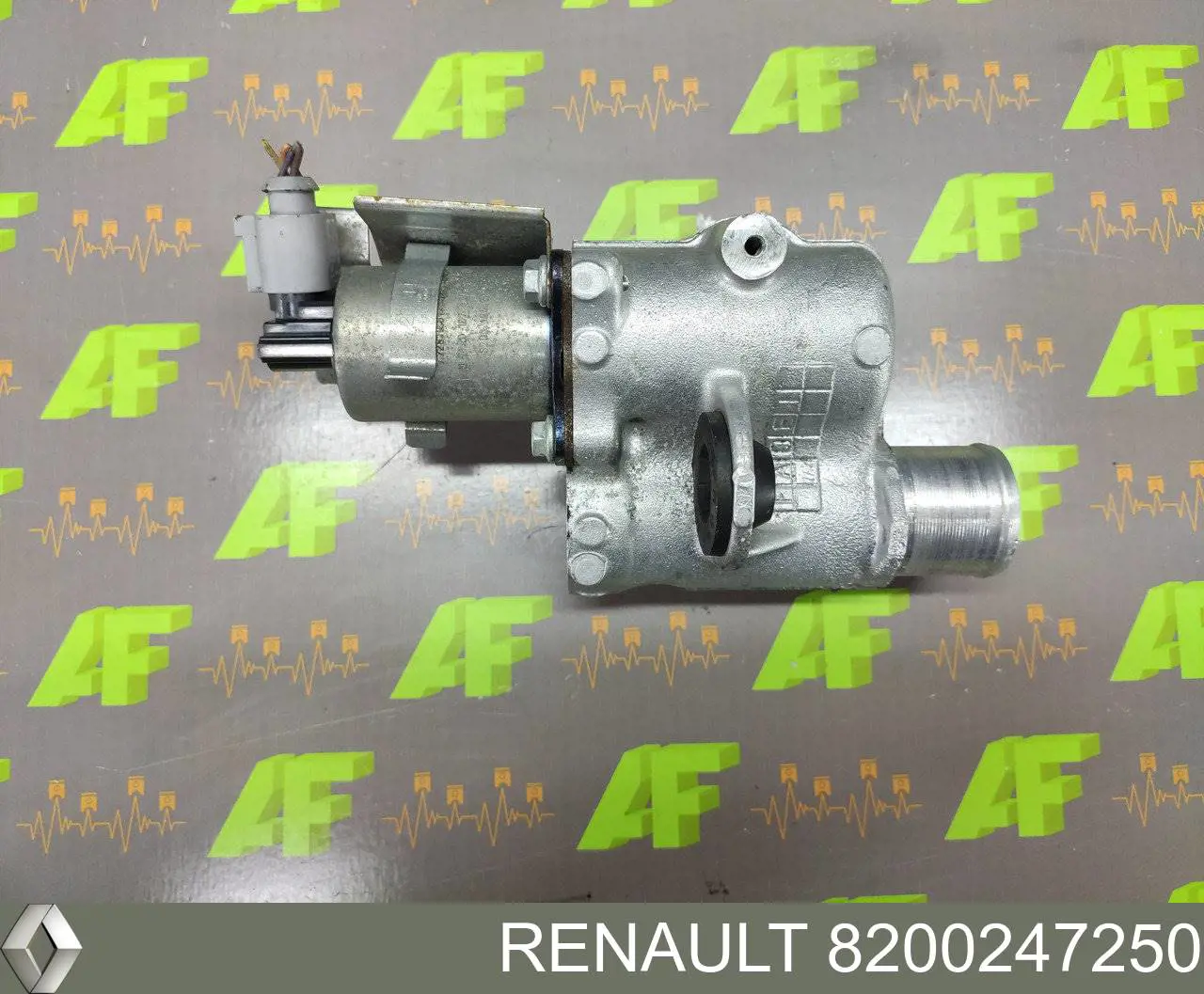 8200247250 Renault (RVI) zawór recyrkulacji spalin egr