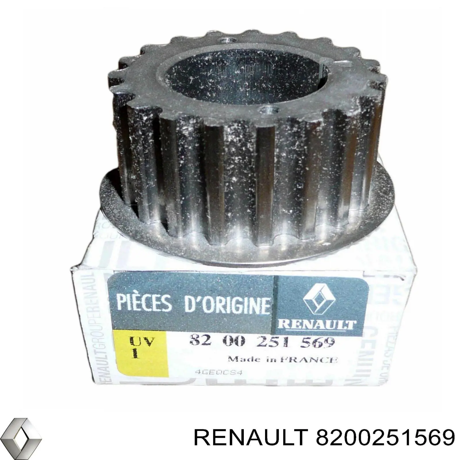 8200251569 Renault (RVI) Koło zębate walcowe napędu wałka rozrządu