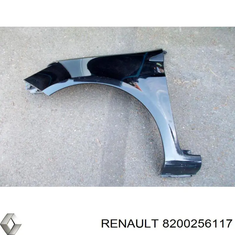 8200256117 Renault (RVI) Błotnik przedni lewy