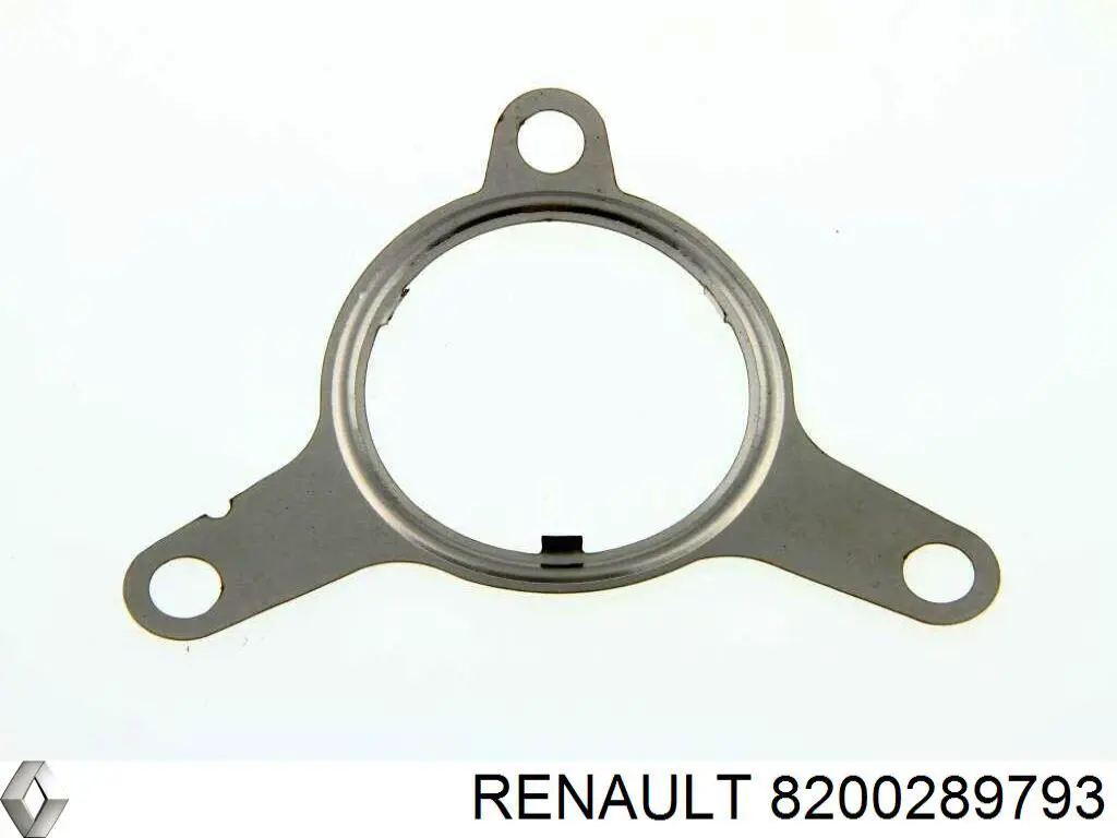Do koszyka 8200289793 Renault (RVI) Uszczelka zaworu recyrkulacji EGR