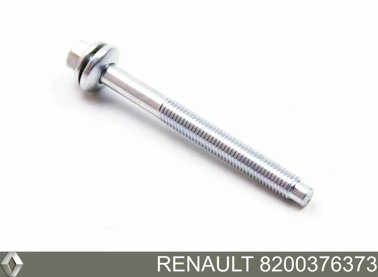 Śruba mocowania wtryskiwacza Renault (RVI) 8200376373 cena, od 5,78 USD