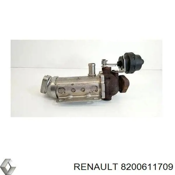 Do koszyka 8200611709 Renault (RVI) Chłodnica układu recyrkulacji spalin EGR