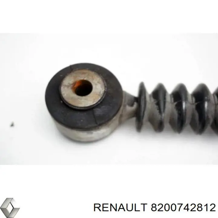 Amortyzator tylny Renault (RVI) 8200742812 cena, od 36,05 USD