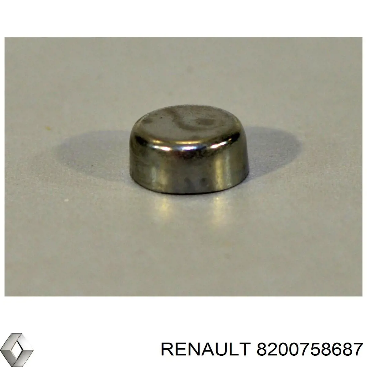 8200758687 Renault (RVI) Zaślepka głowicy cylindrów/bloku cylindrów