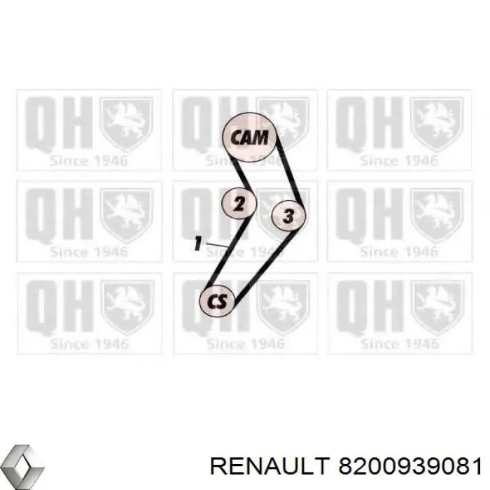 8200939081 Renault (RVI) Pasek rozrządu