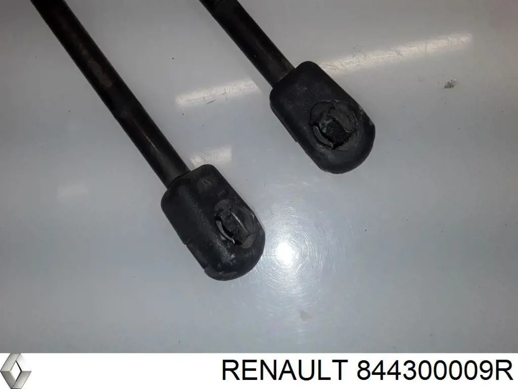Do koszyka 844300009R Renault (RVI) Amortyzator klapy bagażnika (3/5 drzwi-tylnych)