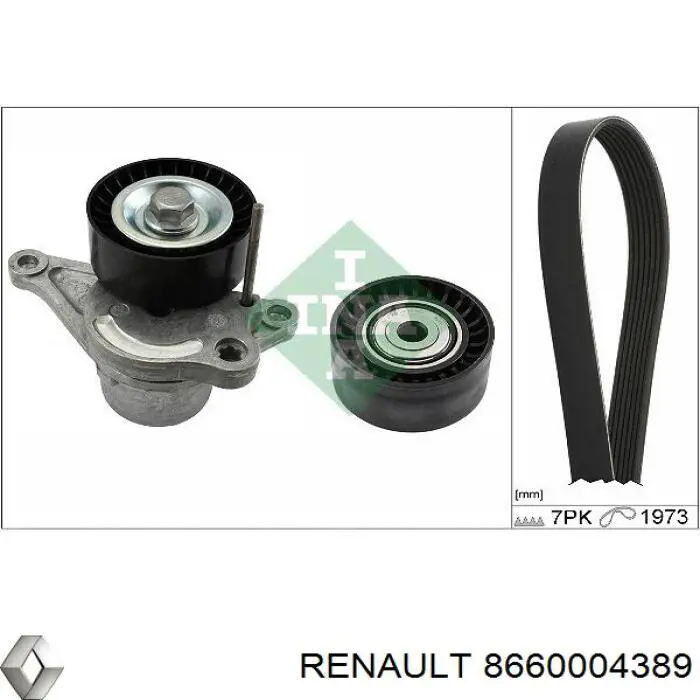 Pasek napędowy mechanizmów, zestaw Renault (RVI) 8660004389 cena, od 129,23 USD