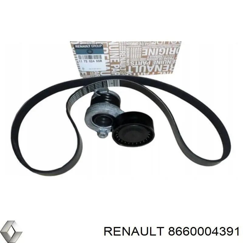 8660004391 Renault (RVI) Pasek napędowy mechanizmów, zestaw