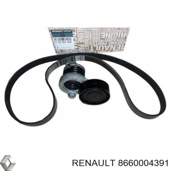Pasek napędowy mechanizmów, zestaw Renault (RVI) 8660004391 cena, od 98,67 USD
