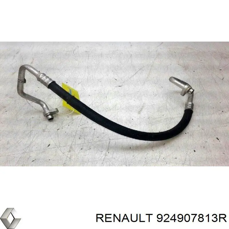  Renault (RVI) 924907813R cena, od 102,44 USD