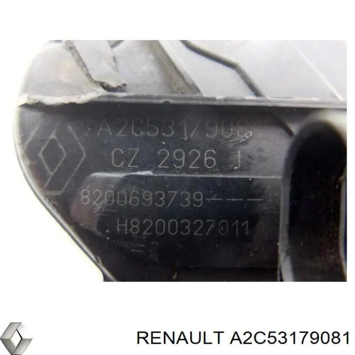 Do koszyka A2C53179081 Renault (RVI) Zawór recyrkulacji spalin EGR
