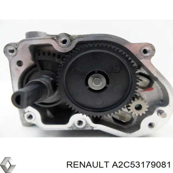 Do koszyka A2C53179081 Renault (RVI) Zawór recyrkulacji spalin EGR