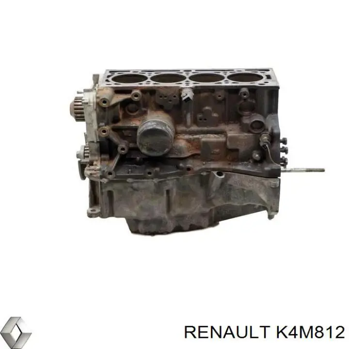 Silnik w komplecie do Renault Megane II BM0, CM0, BM1, CM1