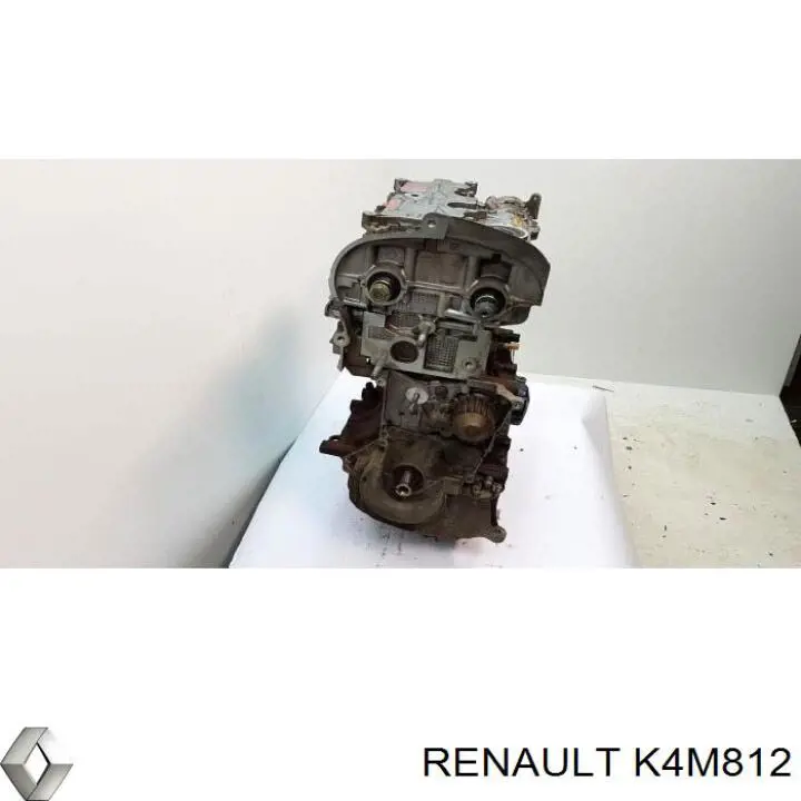 Do koszyka Silnik w komplecie Renault Megane II BM0, CM0, BM1, CM1
