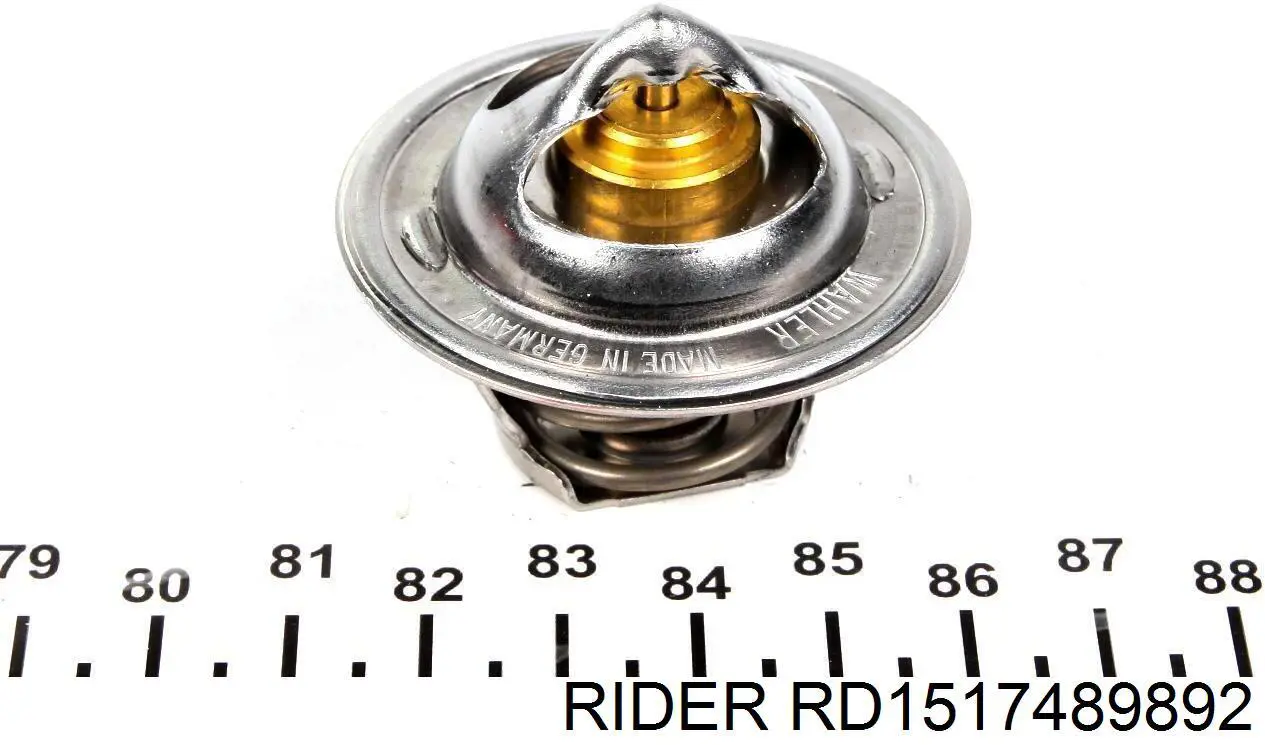 Termostat RD1517489892 Rider