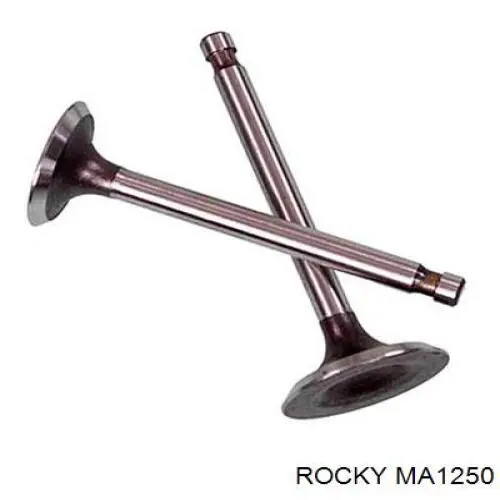 MA1250 Rocky Zawór dolotowy/ssący