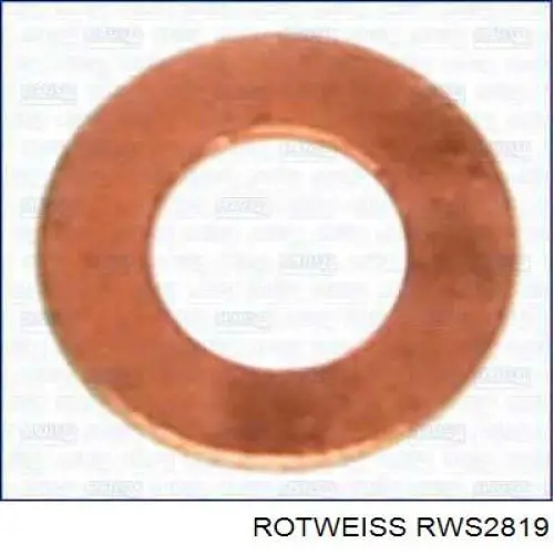 RWS2819 Rotweiss Pierścień uszczelniający wtryskiwacza