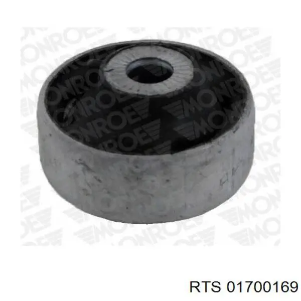  RTS 01700169