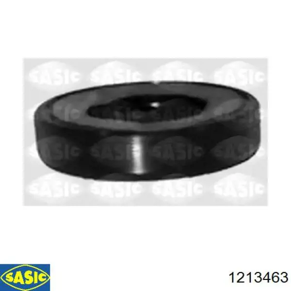  Sasic 1213463
