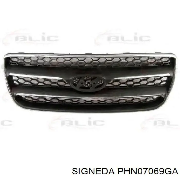 Atrapa chłodnicy do Hyundai Santa Fe III DM