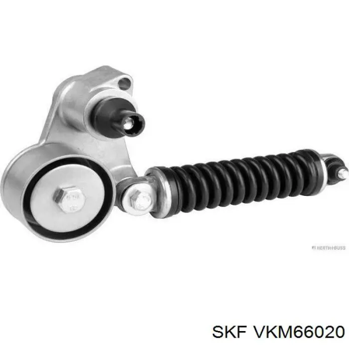 Napinacz paska napędowego SKF VKM66020 cena, od 173,24 USD