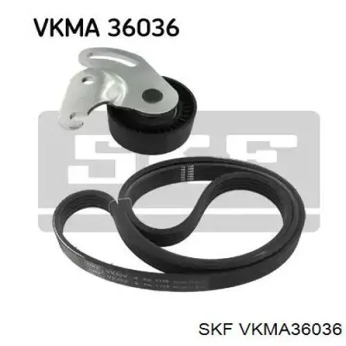 VKMA 36036 SKF pasek napędowy mechanizmów, zestaw