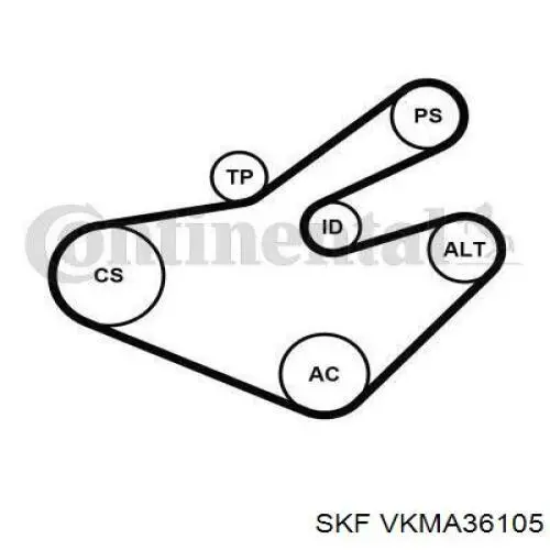 Do koszyka VKMA36105 SKF Pasek napędowy mechanizmów, zestaw