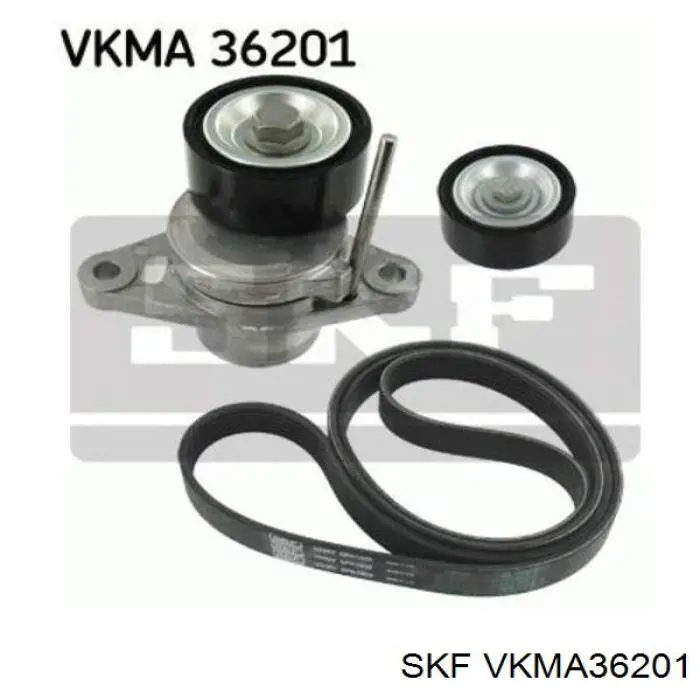 Pasek napędowy mechanizmów, zestaw SKF VKMA36201 cena, od 97,11 USD