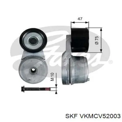 Do koszyka VKMCV52003 SKF Napinacz paska napędowego