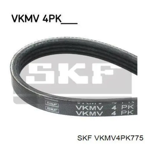 VKMV 4PK775 SKF pas napędowy mechanizmów