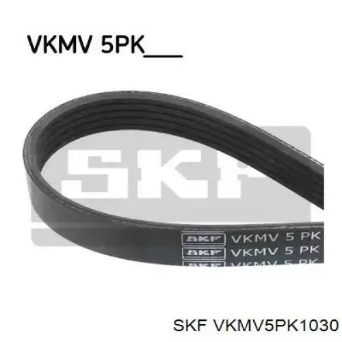 VKMV 5PK1030 SKF pas napędowy mechanizmów