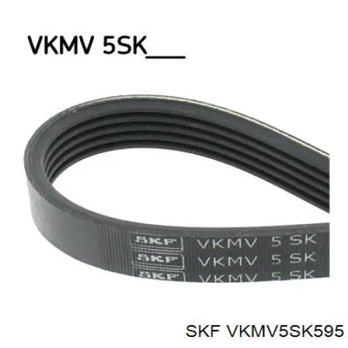 VKMV5SK595 SKF pas napędowy mechanizmów