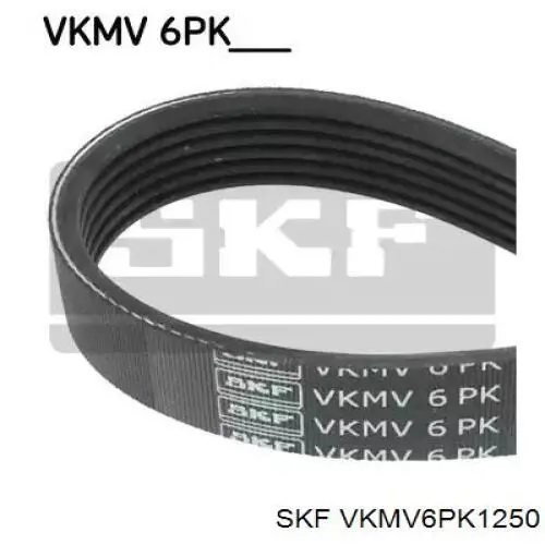 VKMV 6PK1250 SKF pas napędowy mechanizmów