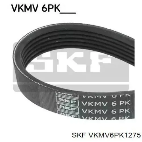 VKMV 6PK1275 SKF pas napędowy mechanizmów