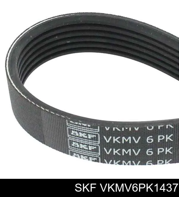 VKMV6PK1437 SKF pas napędowy mechanizmów